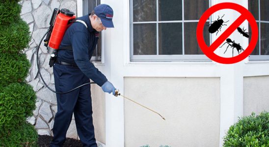 Darıca Böcek ve Haşere İlaçlama böcek ilaçlama ve haşere kontrolü — ilaclama-tr.com
